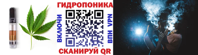 Купить где Невельск Canna-Cookies конопля
