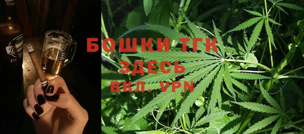 тгк Богданович