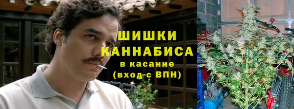 MESCALINE Богородицк