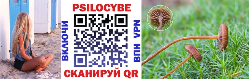 Галлюциногенные грибы мухоморы  Купить закладки  Невельск 